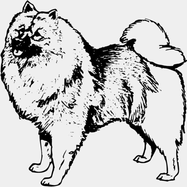 DC0037 Thumbnail