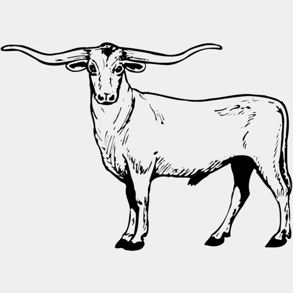 COW016 Thumbnail