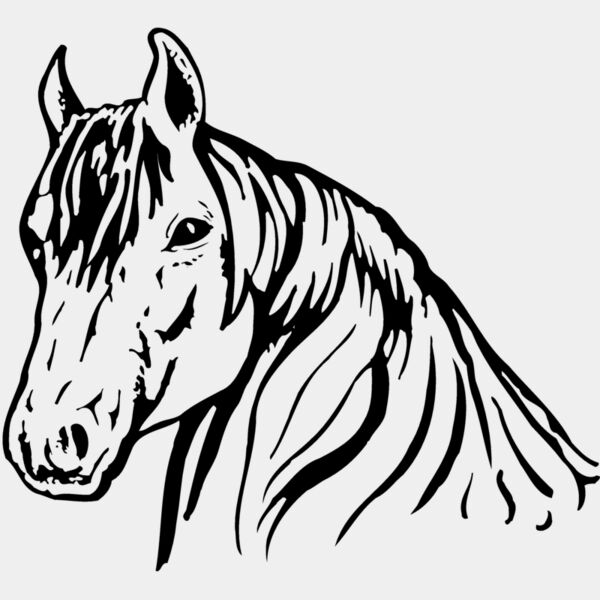 HORSE006 Thumbnail