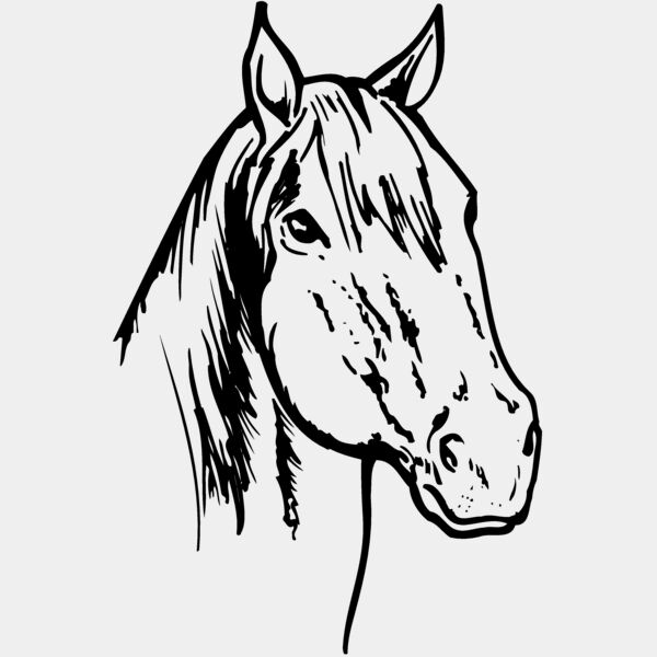 HORSE011 Thumbnail