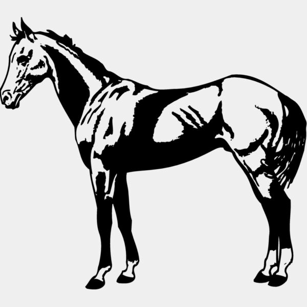 HORSE018 Thumbnail