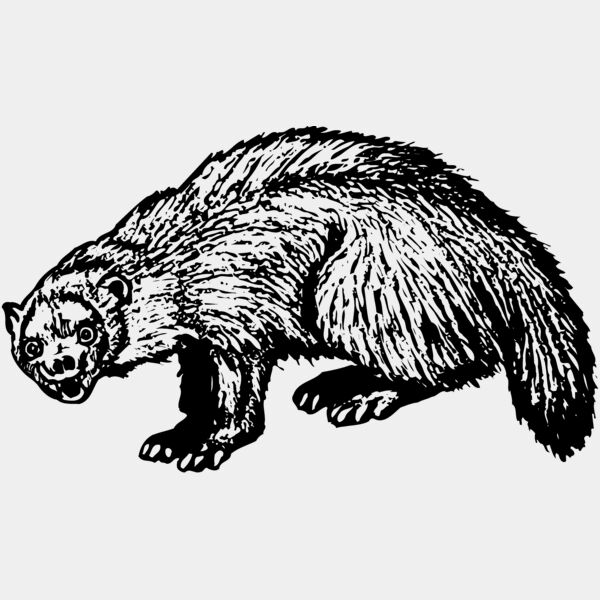 BADGER01 Thumbnail