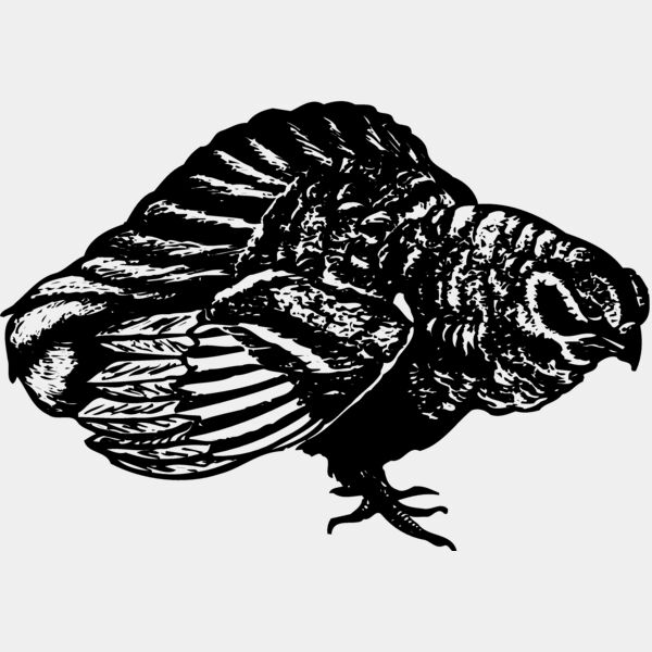 BIRD073 Thumbnail