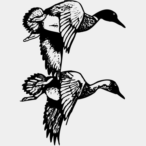 BIRD084 Thumbnail