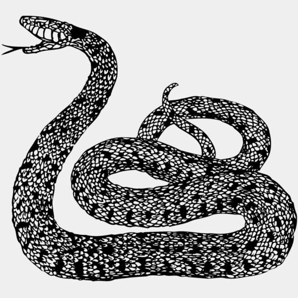 SNAKE015 Thumbnail