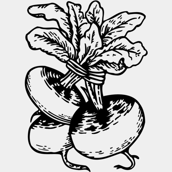 VEG017 Thumbnail