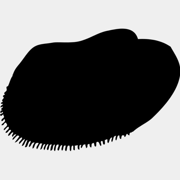 Shell Silhouette 9 Thumbnail