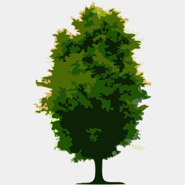 Tree 6 Thumbnail