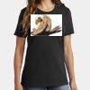 Ladies Core Cotton Tee Thumbnail