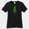 Ladies Core Cotton Tee Thumbnail